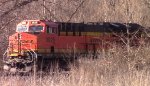 BNSF hiding in the trees